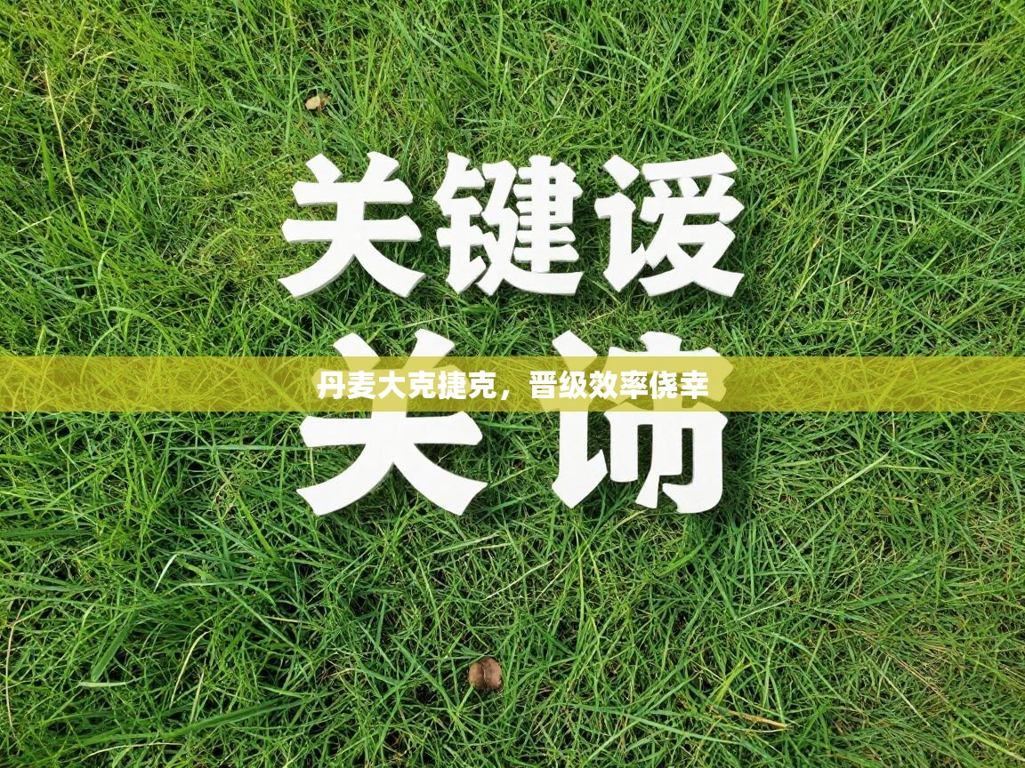 丹麦大克捷克，晋级效率侥幸